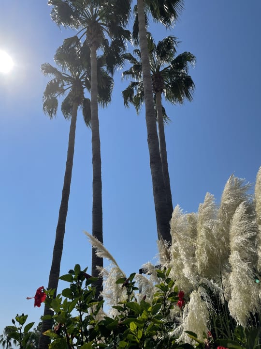 Ausblick Hotel Thalia Unique