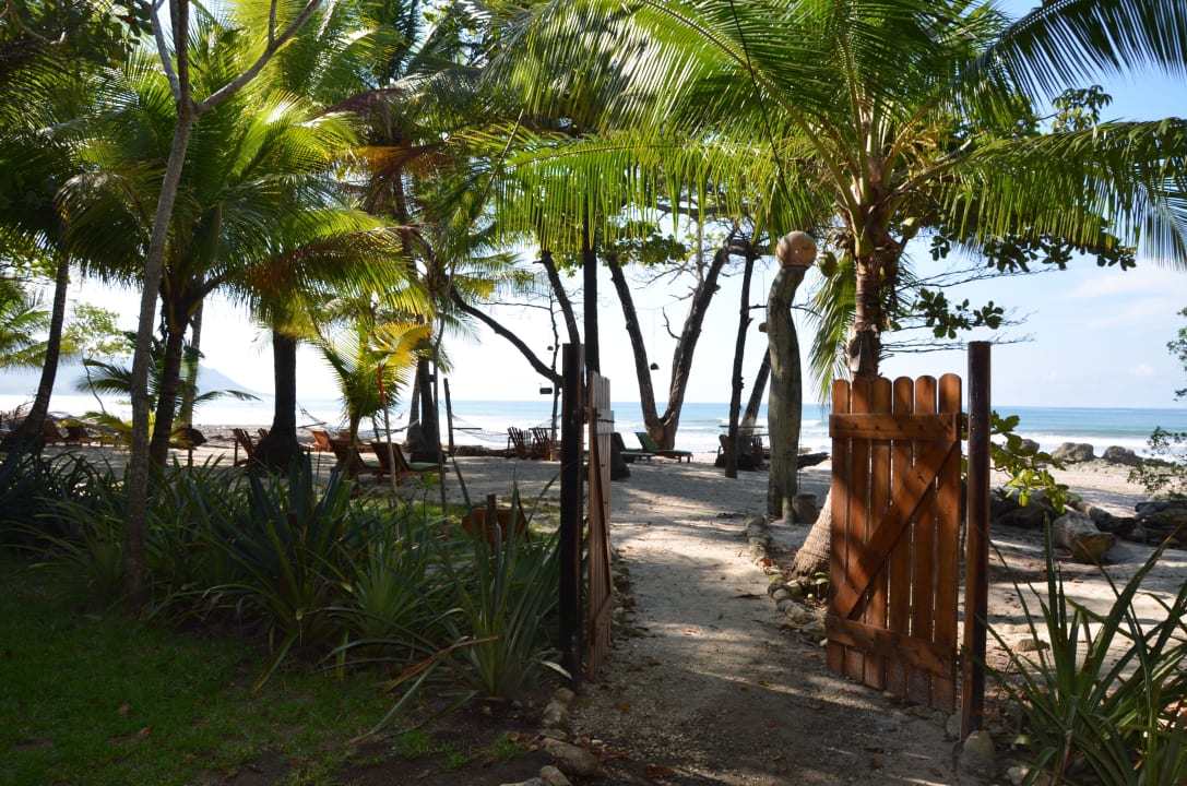 Blick vom Garten zum Strand Hotel Tropico Latino