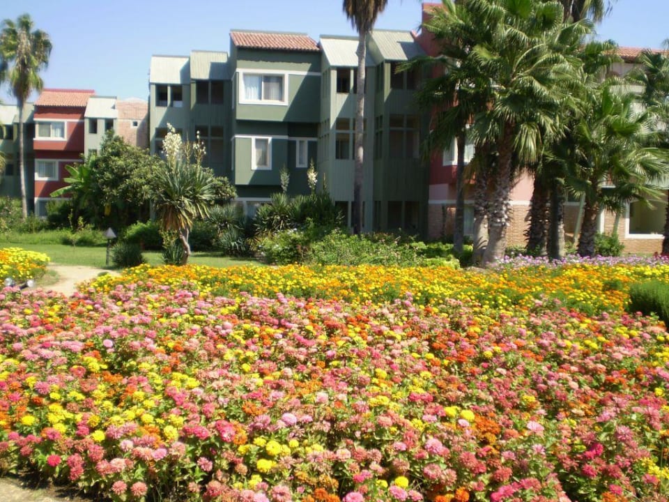 Blumenpracht Megasaray Club Belek