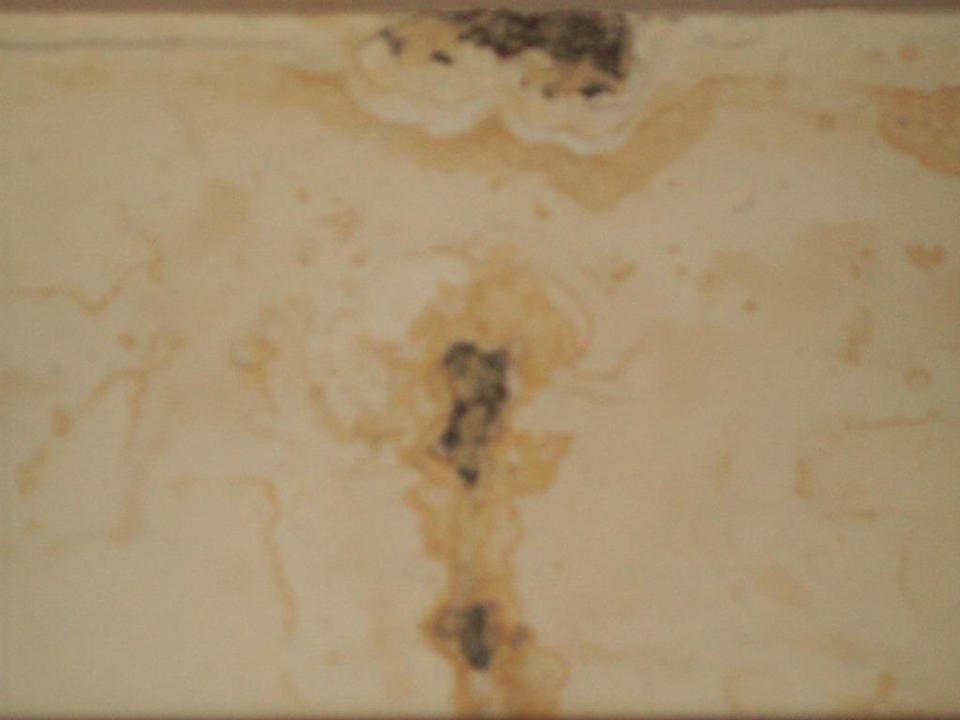 Schimmel Side Miami Beach