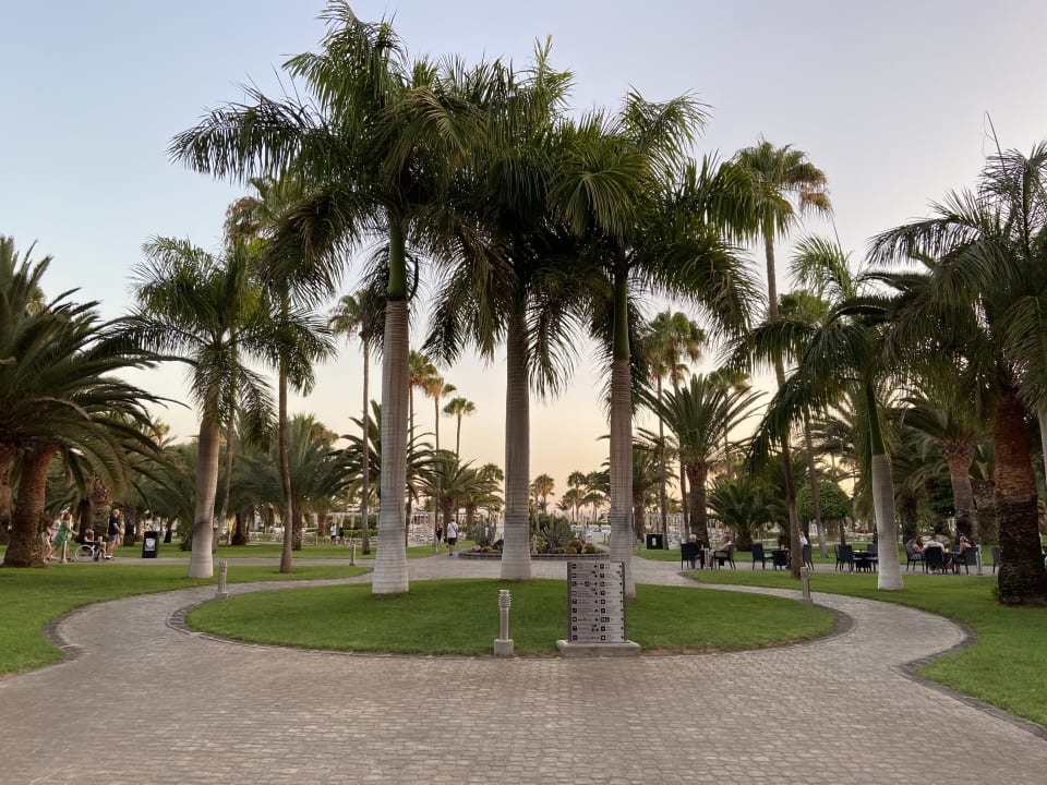Gartenanlage Hotel Riu Gran Canaria