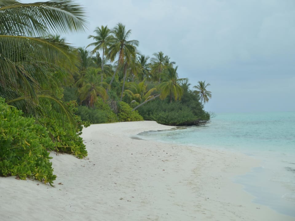 Strand hinter "The Reef Restaurant" Kuramathi Maldives
