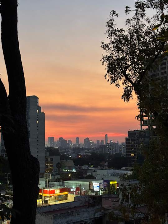 Ausblick City Express Plus by Marriott Guadalajara Providencia