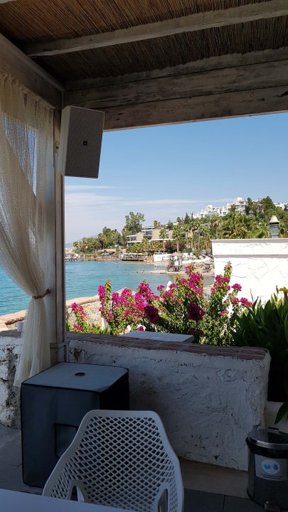 Ausblick TUI MAGIC LIFE Bodrum - Adult Only (16+)