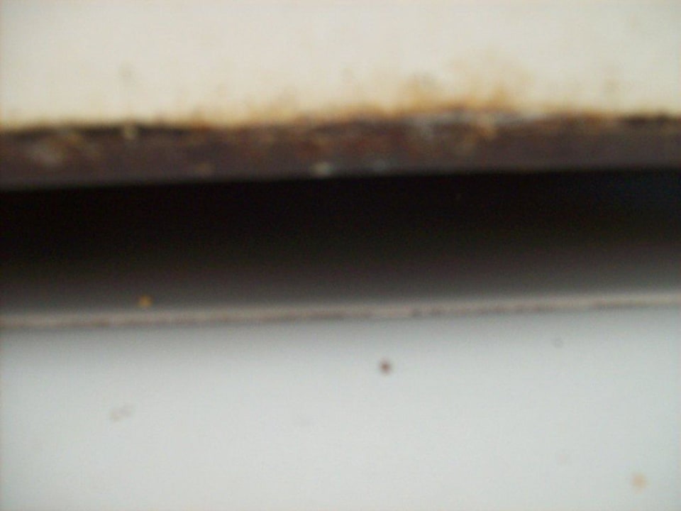 Kühlschrank  Hipotels Mediterraneo Club