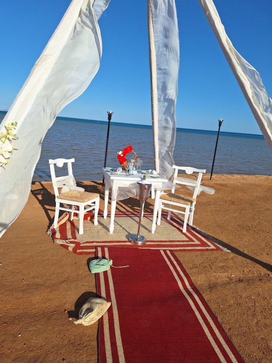 Gastro Club Paradisio El Gouna, Red Sea