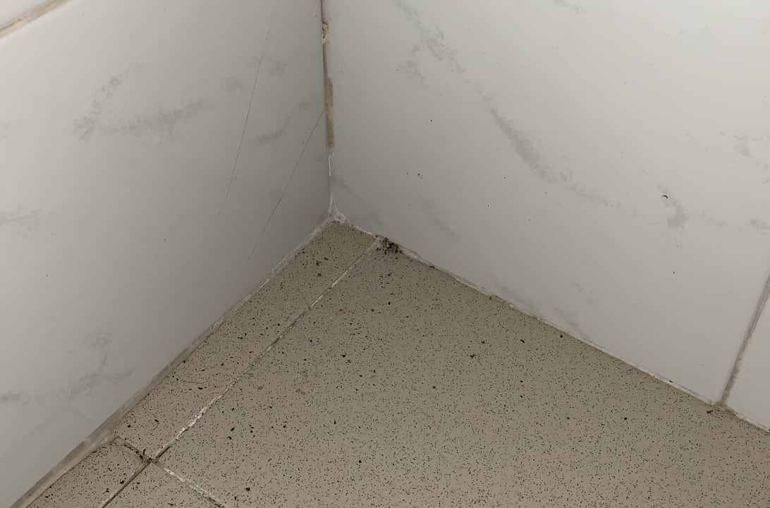 Zimmer Flipflop Cala Romantica