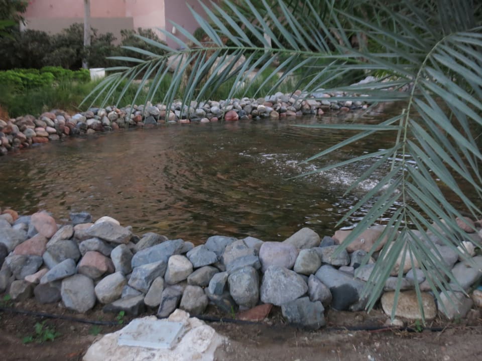 Garten Makadi Palace