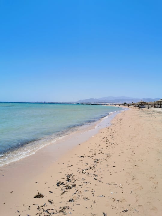 Strand Shams Prestige Abu Soma-Adults Only