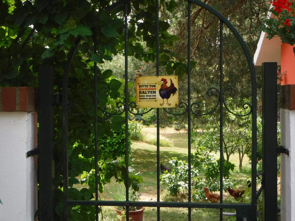 Außenansicht Hotel & Landgasthof Zum Schwan