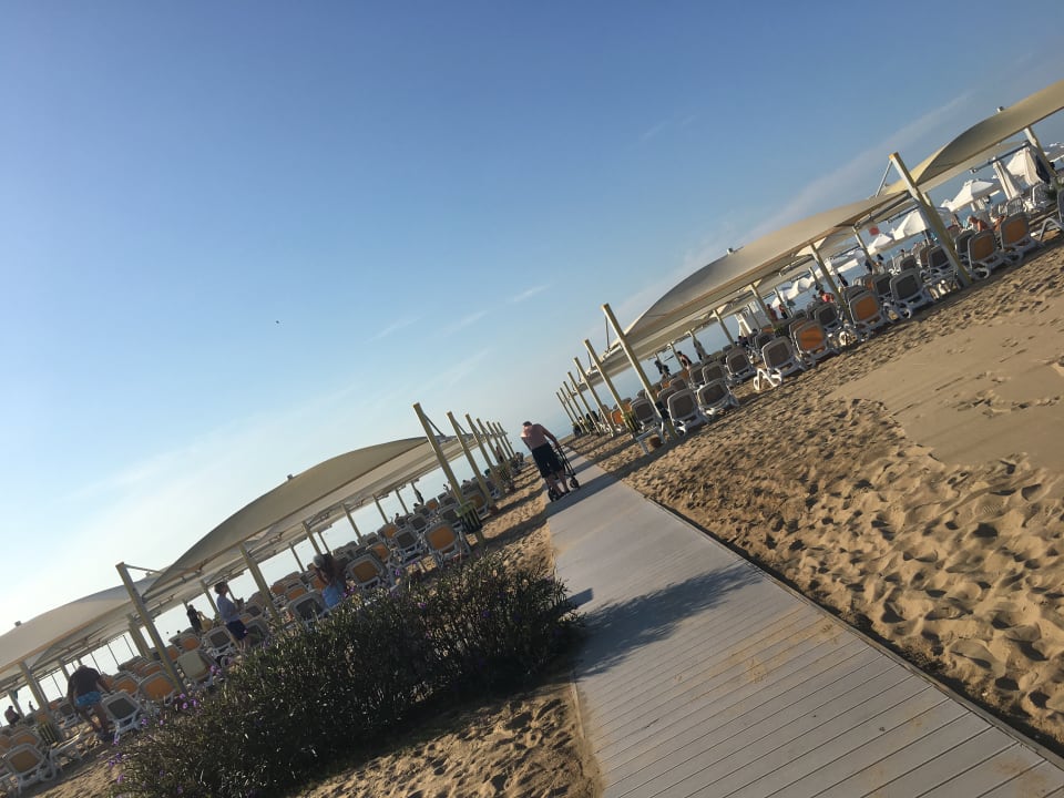 Strand TUI BLUE Xanthe
