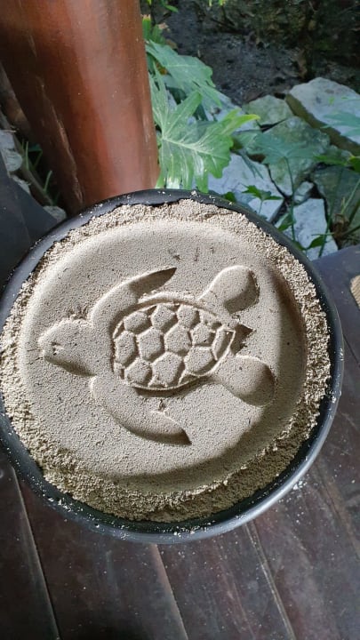 Zimmer Akumal Bay Beach & Wellness Resort