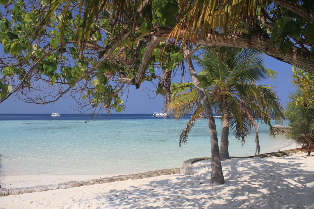Wie man es sich eben vorstellt ! Eri Maldives