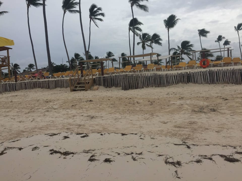 Noch ein guter Tag bzgl. der Algen Ocean Blue & Sand