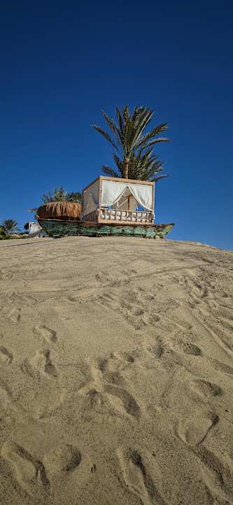 Gartenanlage Steigenberger Coraya Beach - Adults only