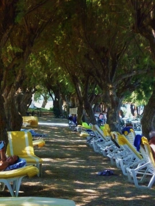 Schattenplätze TUI KIDS CLUB Alex Beach