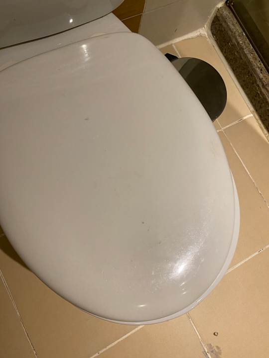 Zimmer Royal Star Beach Resort