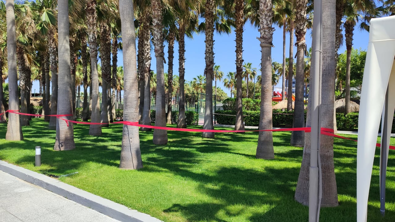 Gartenanlage Hotel Miramare Beach