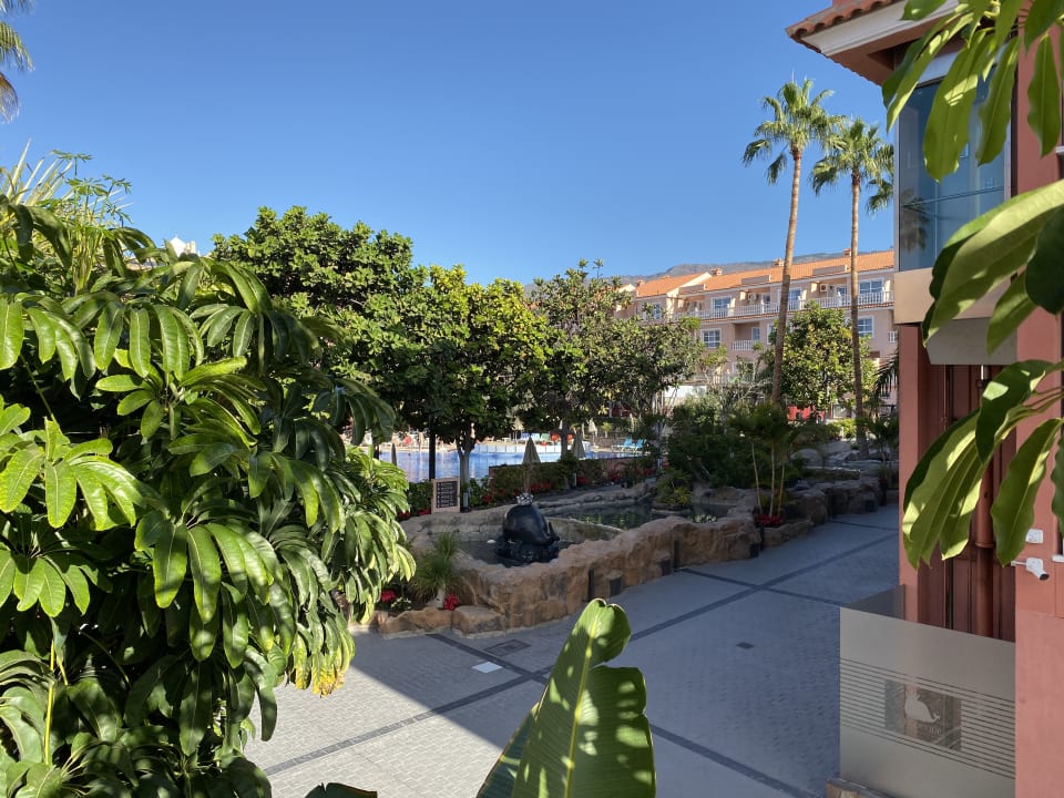 Ausblick Hotel El Duque