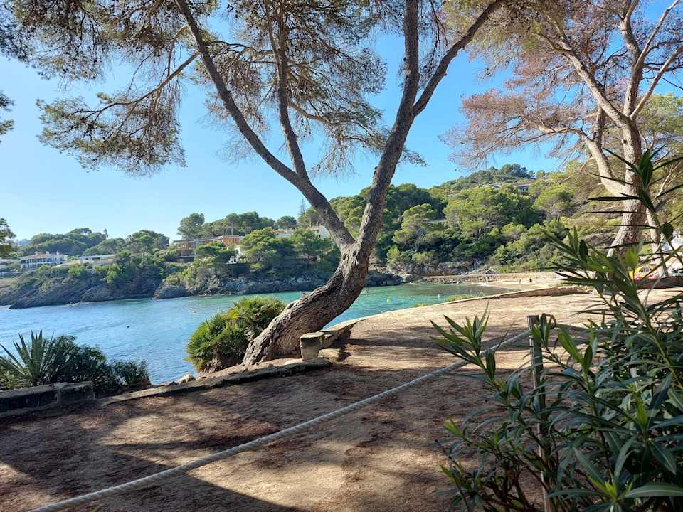 Außenansicht Iberostar Waves Pinos Park