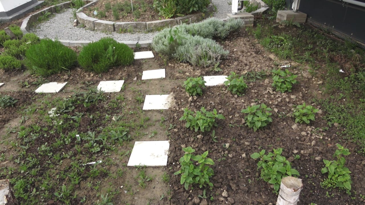 Gartenanlage Mawell Resort