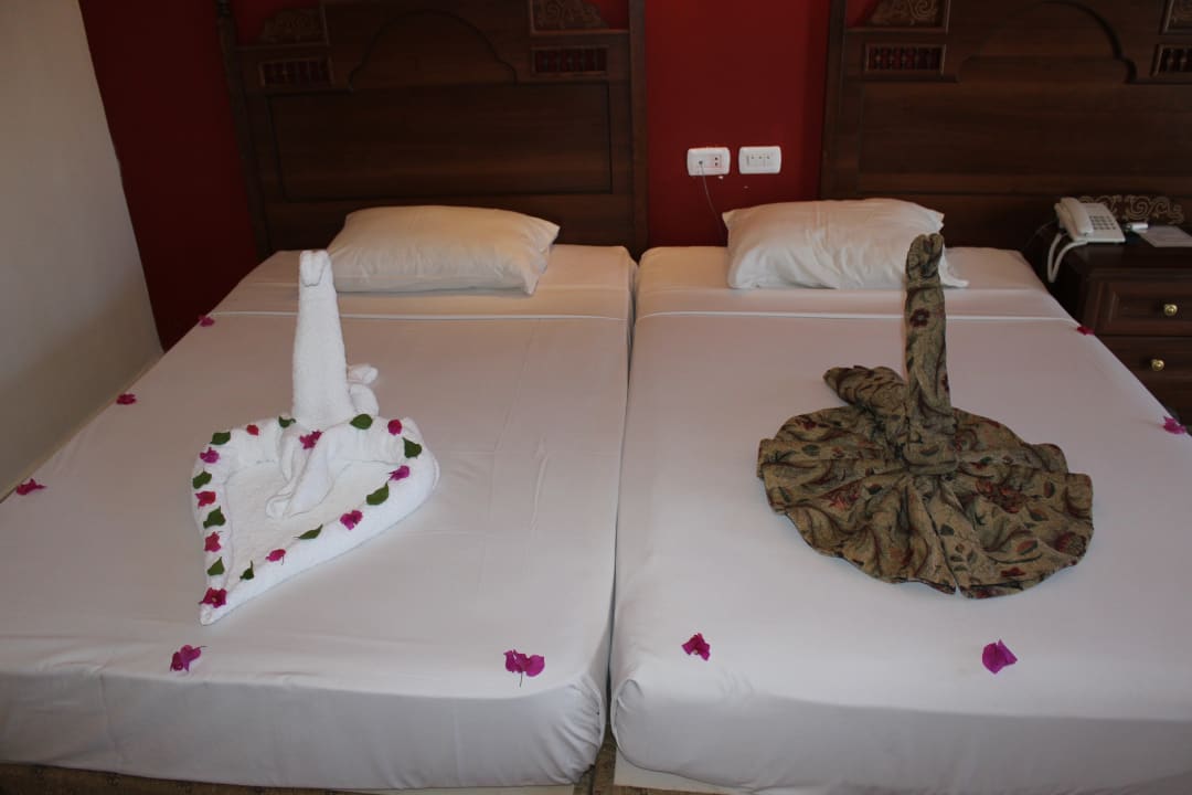 Zimmer Jasmine Palace Resort & Spa