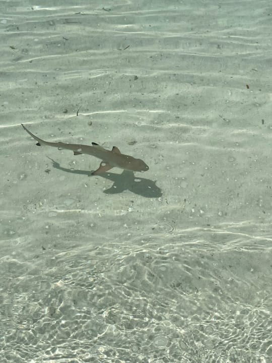 Strand Adaaran Select Hudhuran Fushi - Premium All Inclusive