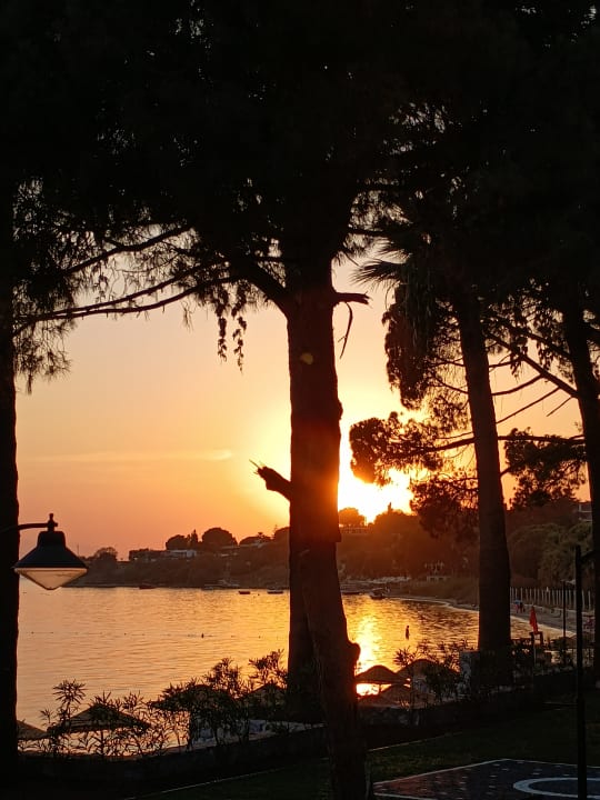 Ausblick Ömer Prime Holiday Resort