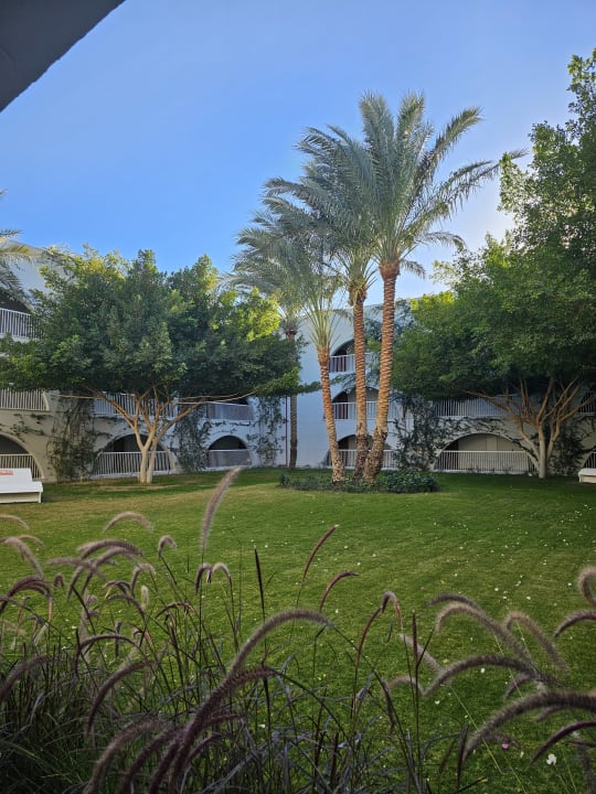 Gartenanlage Desert Rose