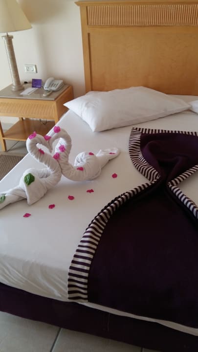 Zimmer Hotel JAZ Makadi Star & Spa