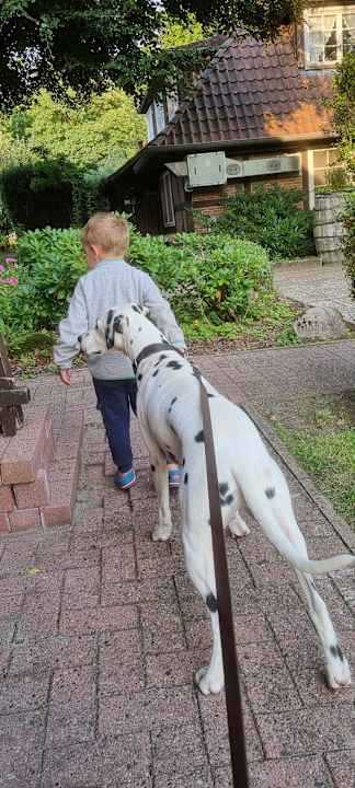 Außenansicht Ferienhof Zur Alten Fuhrmanns-Schänke