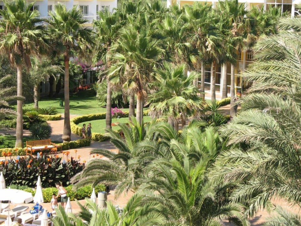 Der "Park" des Albufera´s Iberostar Selection Albufera Park