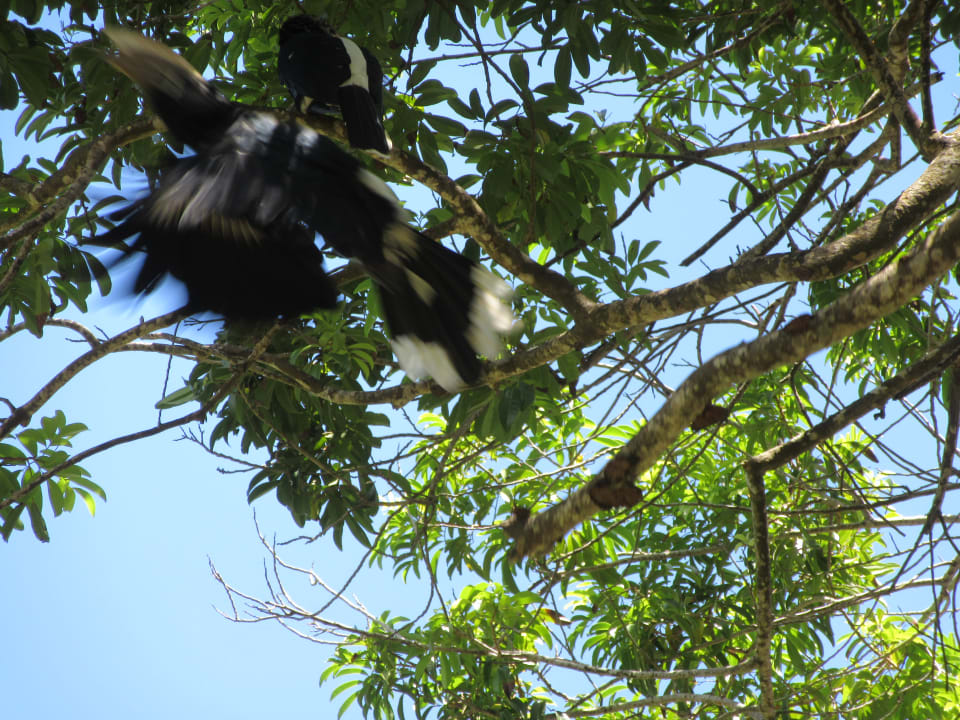 Gartenanlage Baobab Beach Resort & Spa