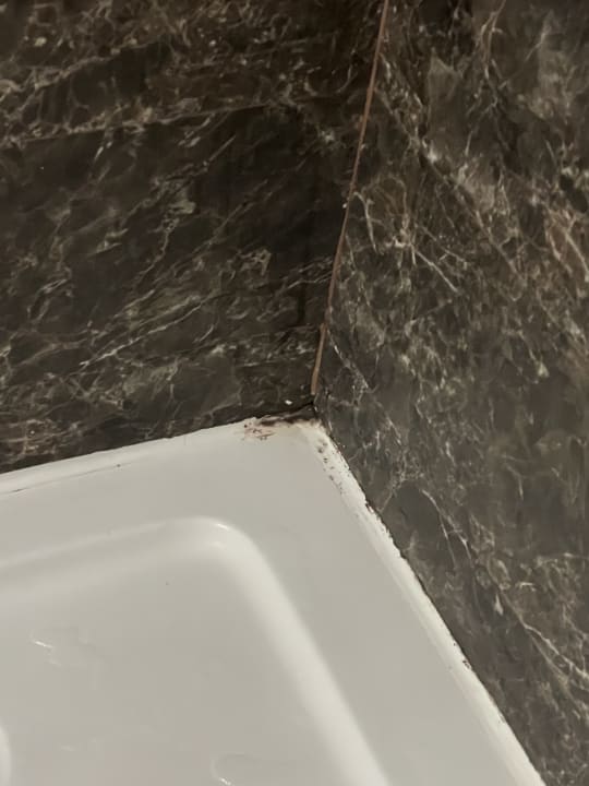 Zimmer Siam Elegance Hotels & Spa