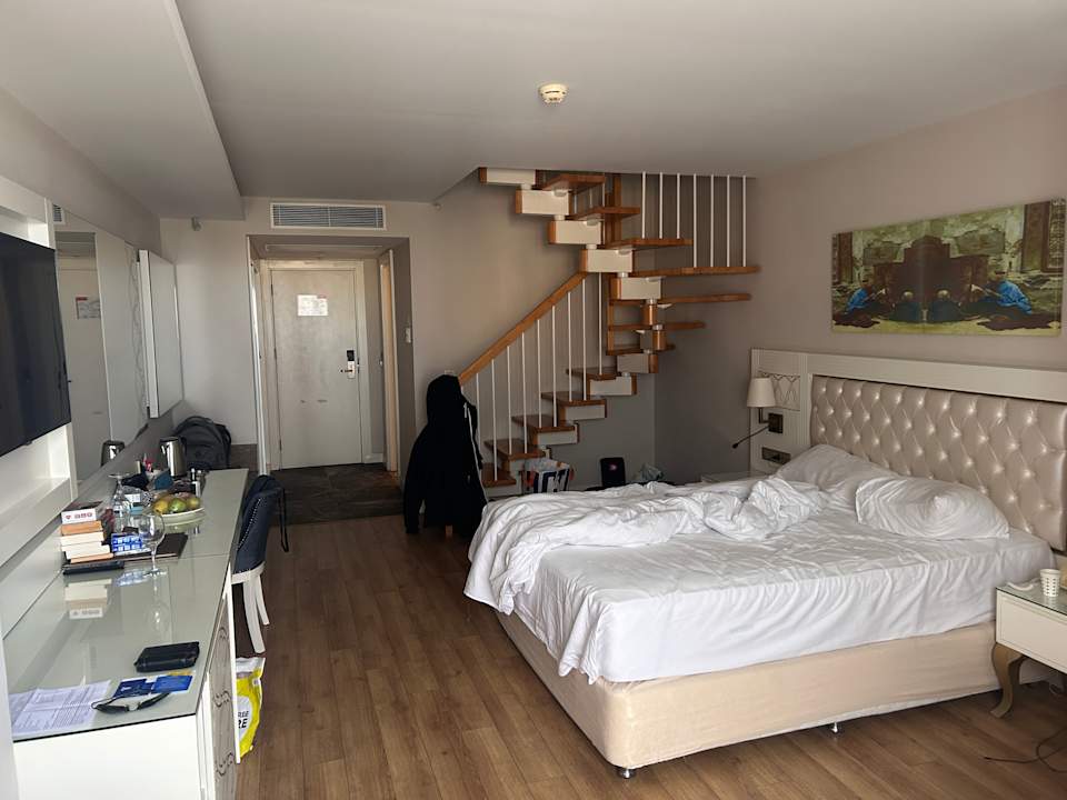 Zimmer Haydarpasha Palace