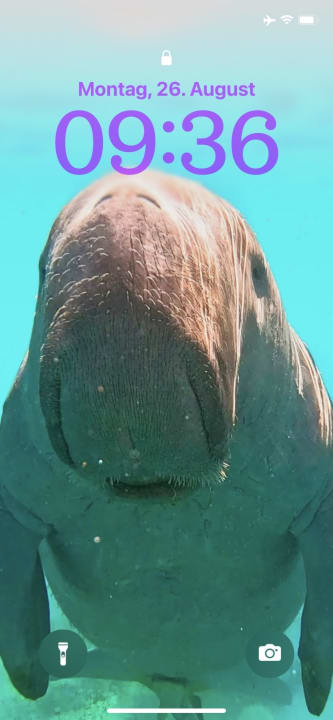 Strand Jaz Costa Mares (Adults Only)