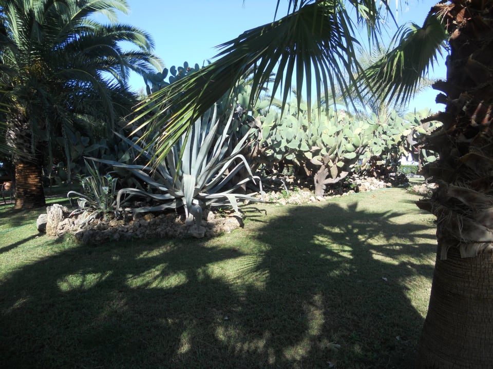 Toller Garten Hotel Miramare Beach