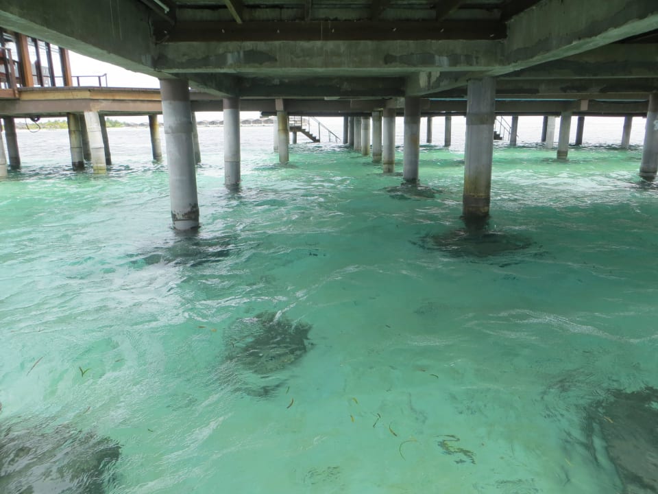 Blick aus dem Bungalow 839 aufs Meer Adaaran Select Hudhuran Fushi - Premium All Inclusive