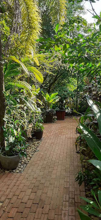 Gartenanlage Pandora Suite D'Angkor