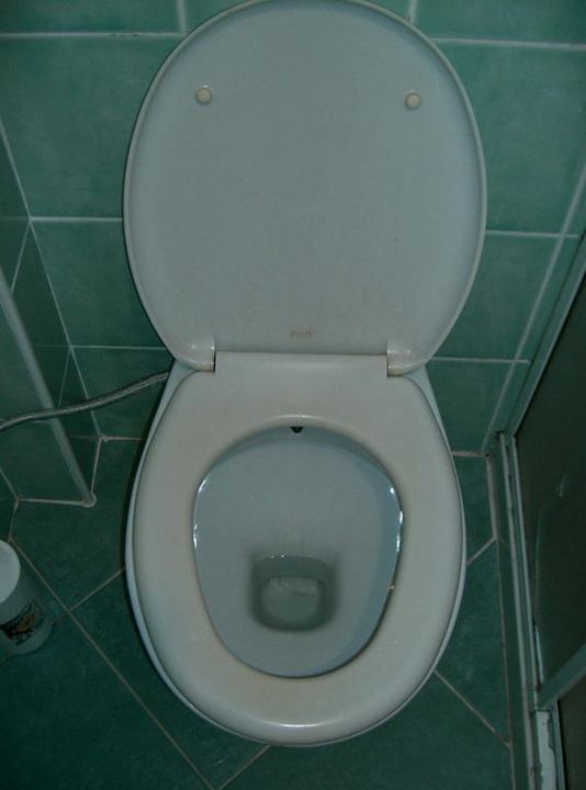 Gelber Toilettendeckel Hotel Best Beach