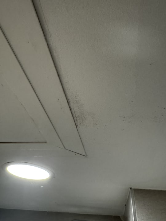 Zimmer Alcudia Garden Aparthotel