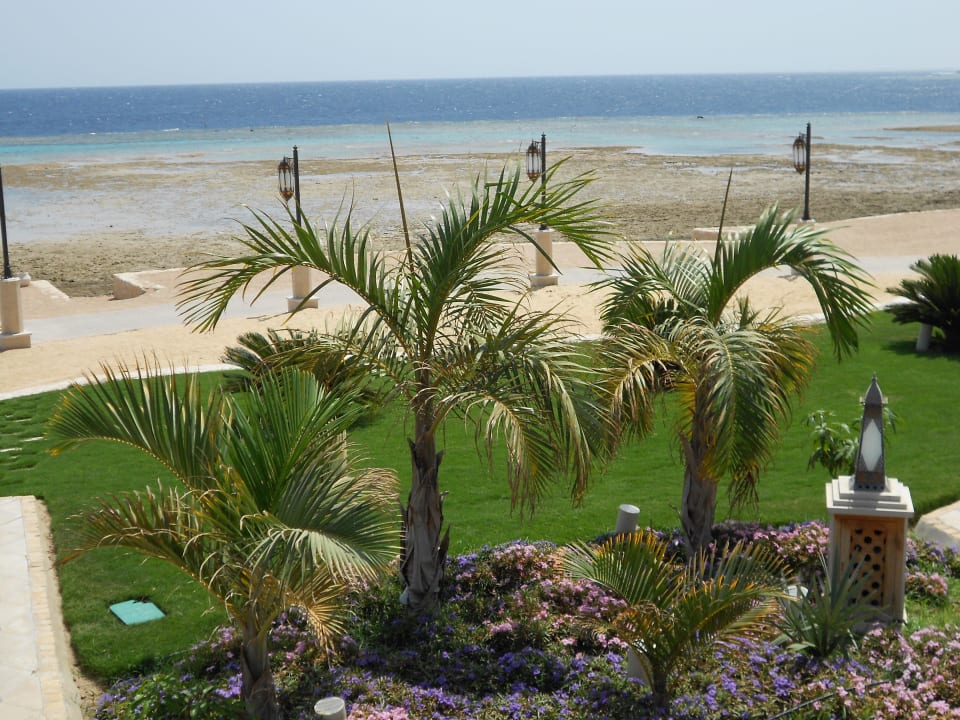 Strand bei Ebbe Makadi Spa - Adults only