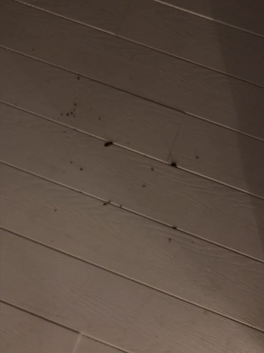 Zimmer Kihaa Maldives