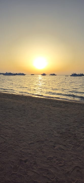 Strand The Grand Palace - Adults only