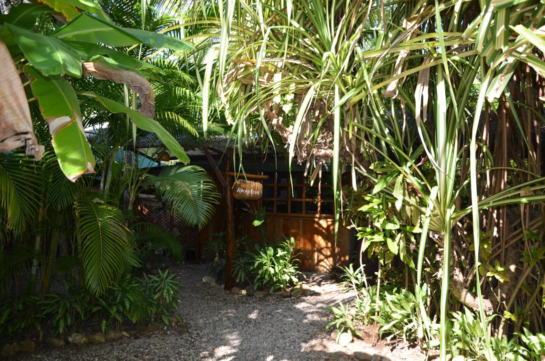 Rezeption Hotel Tropico Latino