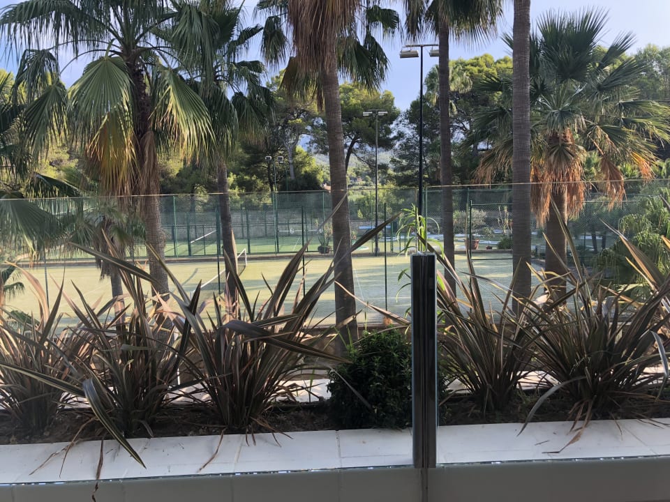 Zimmer allsun Hotel Bella Paguera