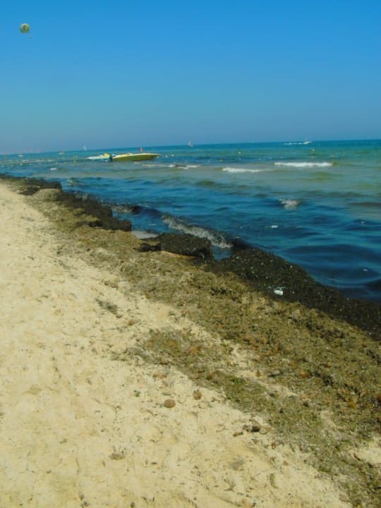 Strand Monarque Club Rivage