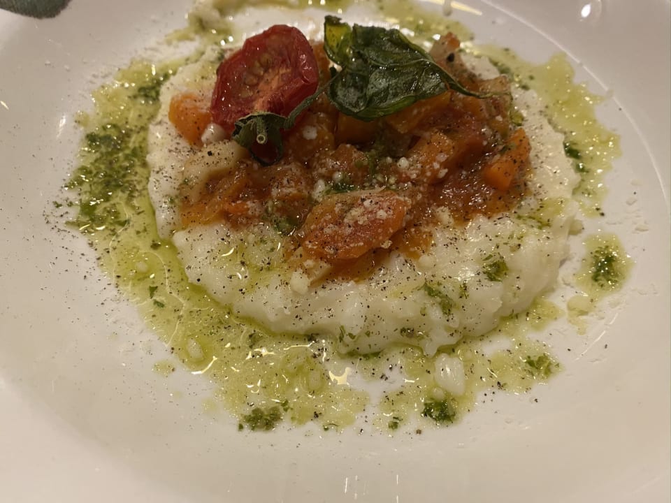 Gastro Acanthus Cennet Barut Collection