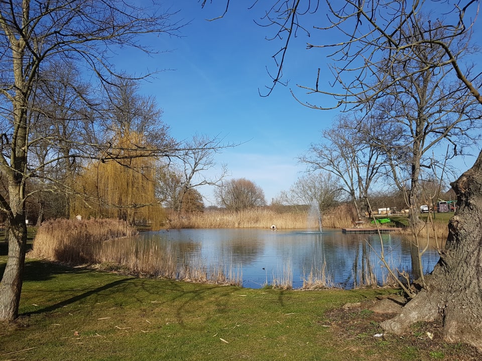 Gartenanlage Schloss Diedersdorf