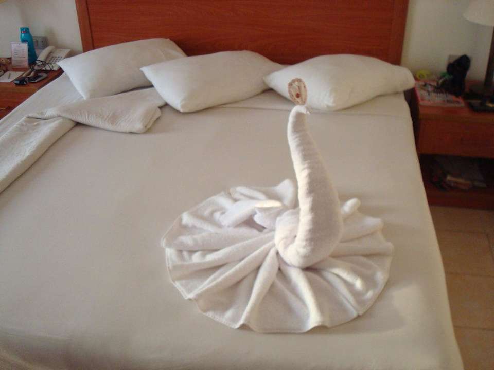 Schlafender Schwan Riviera Aqua Park Resort